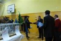 Pokaż zdjęcie w powiększeniu Gołębie zdjęcie