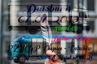 Pokaż zdjęcie w powiększeniu Gołębie zdjęcie