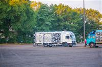 Pokaż zdjęcie w powiększeniu Gołębie zdjęcie