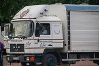 Pokaż zdjęcie w powiększeniu Gołębie zdjęcie