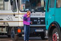 Pokaż zdjęcie w powiększeniu Gołębie zdjęcie