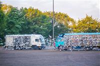 Pokaż zdjęcie w powiększeniu Gołębie zdjęcie