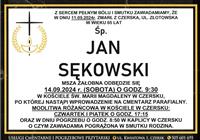 Pokaż zdjęcie w powiększeniu Gołębie zdjęcie