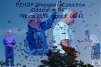 Pokaż zdjęcie w powiększeniu Gołębie zdjęcie