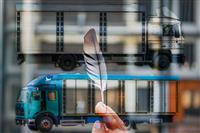 Pokaż zdjęcie w powiększeniu Gołębie zdjęcie