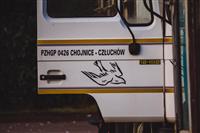 Pokaż zdjęcie w powiększeniu Gołębie zdjęcie